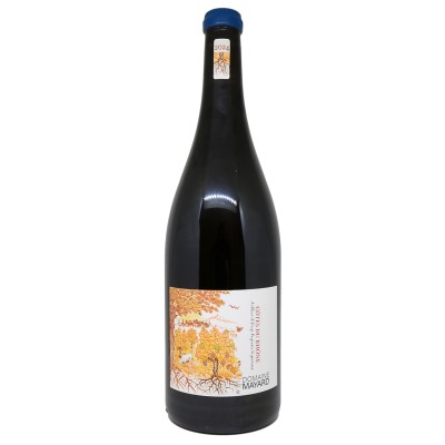 Domaine Mayard - Côtes du Rhône - Magnum 2024