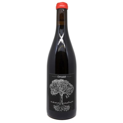 Jérôme Bretaudeau - Domaine de Bellevue - Ornaté 2023