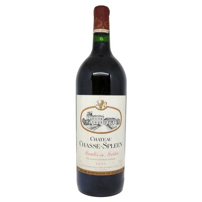 Château Chasse-Spleen - Magnum 1995