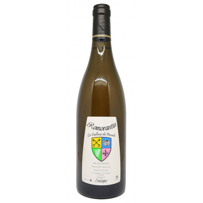 The Pebbles of Paradise - Etienne Courtois - Romorantin 2015