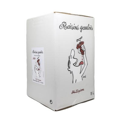 Marcel Lapierre - BIB 5 Litres - Raisins Gaulois 2020