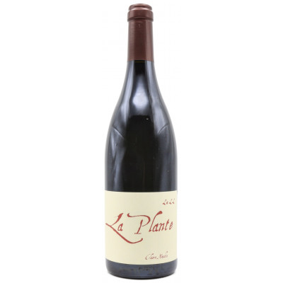 Binaume - Claire Naudin - La Plante d'à Côté 2022