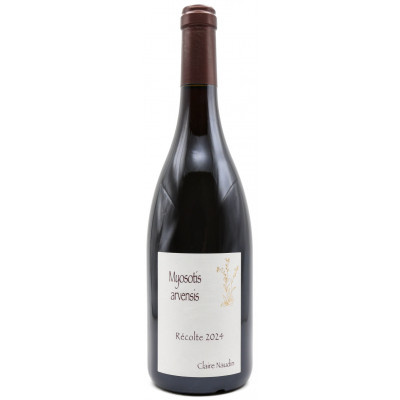 domaine Naudin-Ferrand - Myosotis Arvensis 2024